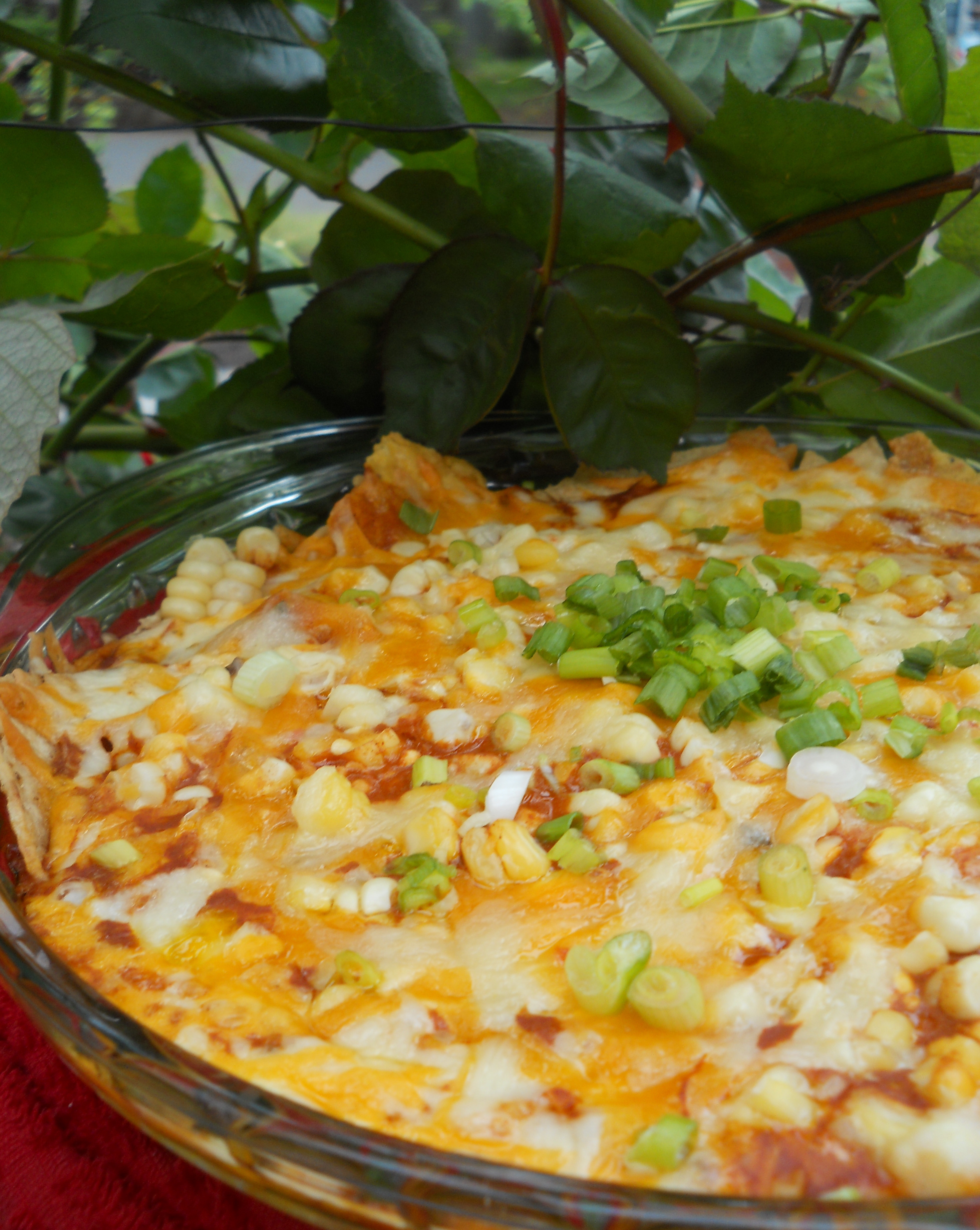 Easy Mexican Casserole
 El Charro’s Chilaquiles Easy Mexican Casserole for