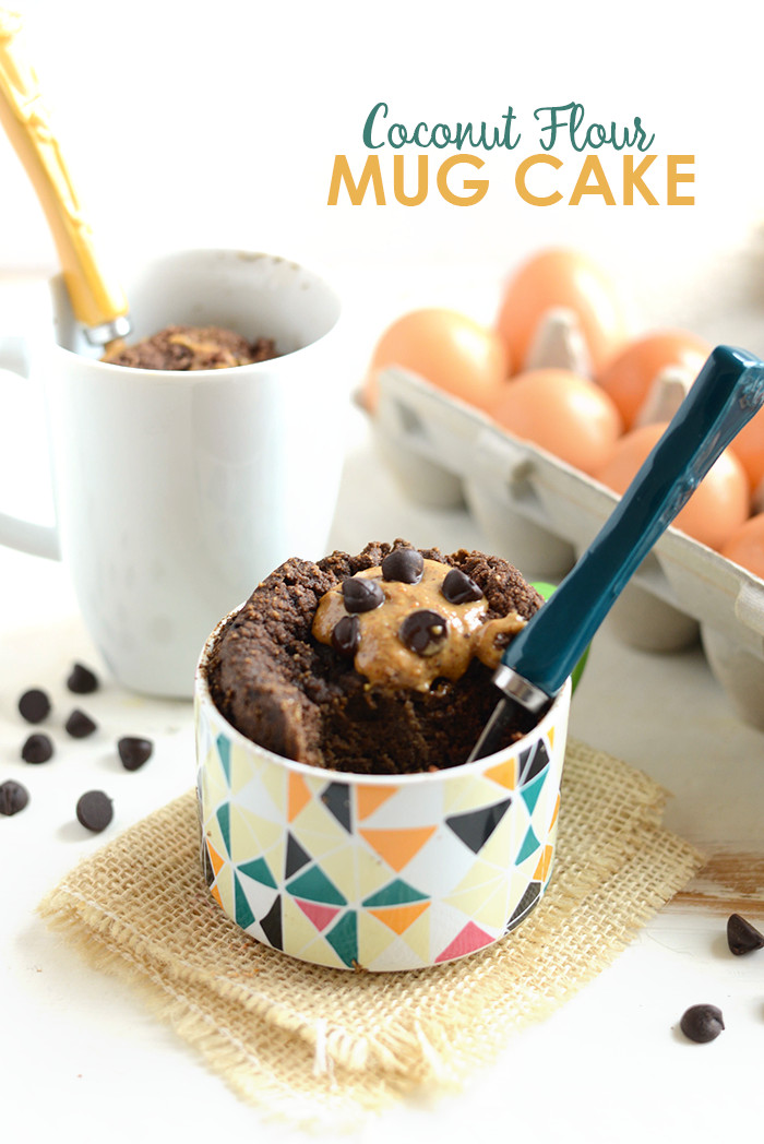 Easy Mug Desserts
 Coconut Flour Mug Cake Fit Foo Finds
