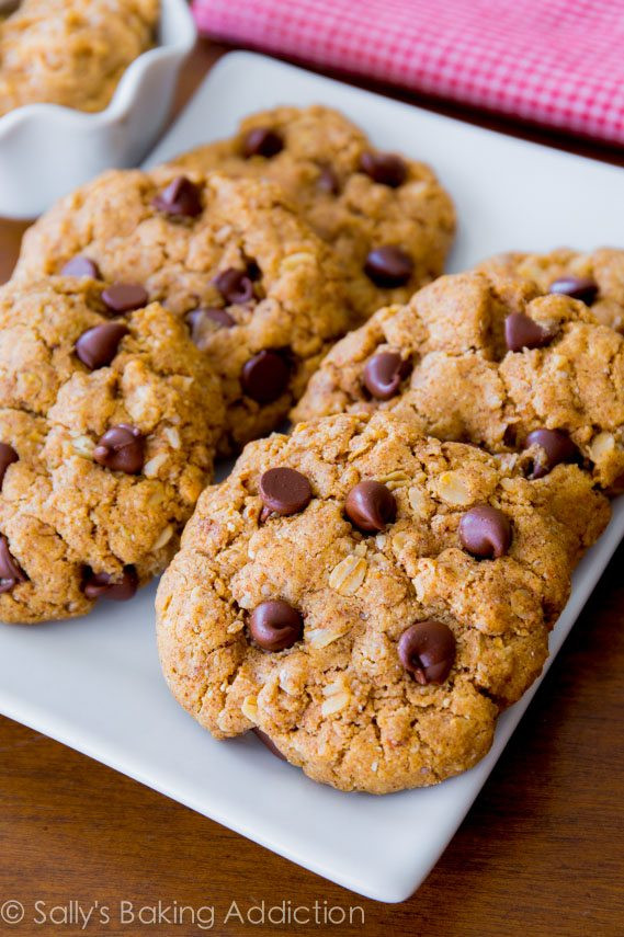 Easy Oatmeal Cookies
 oat cookies recipe easy