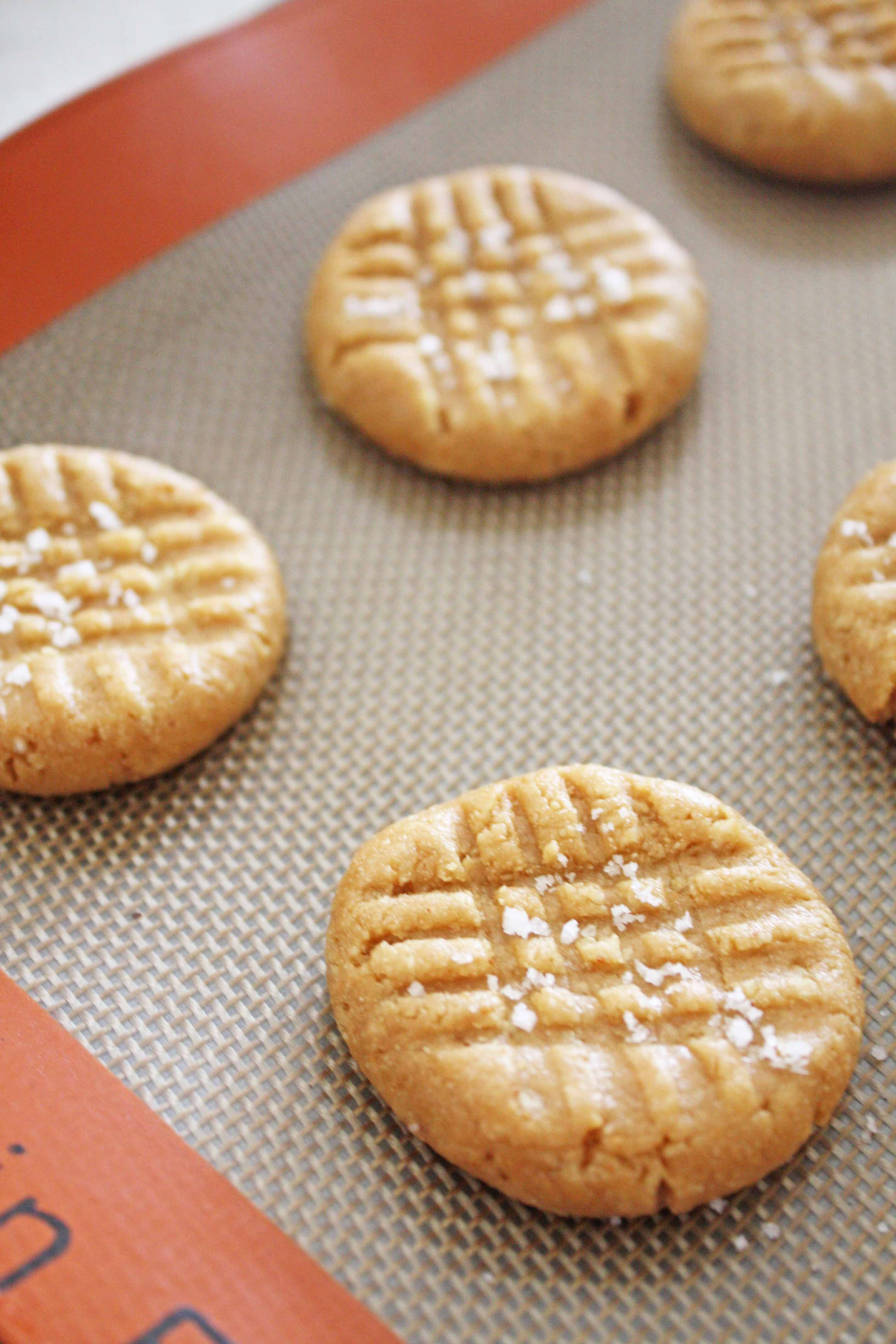 Easy Peanut Butter Cookies No Egg
 peanut butter cookie recipe without eggs