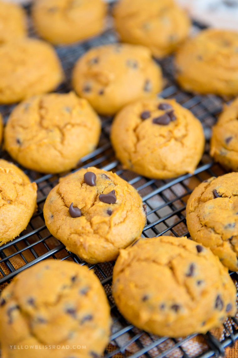 Easy Pumpkin Chocolate Chip Cookies
 Easy Pumpkin Chocolate Chip Cookies made with Cake Mix