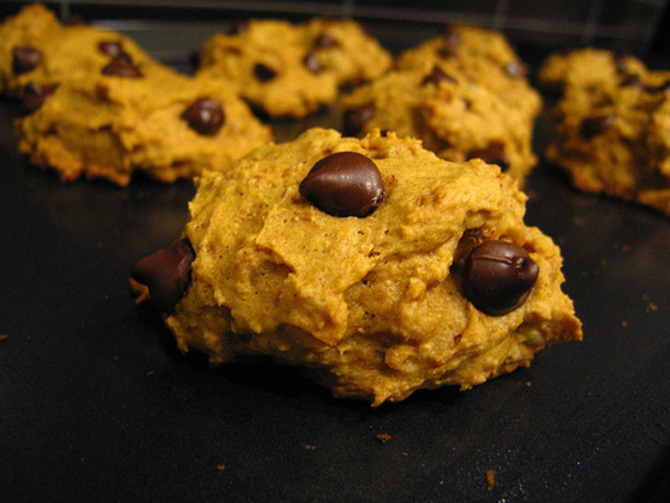 Easy Pumpkin Chocolate Chip Cookies
 Easy Pumpkin Chocolate Chip Cookies Recipe Food