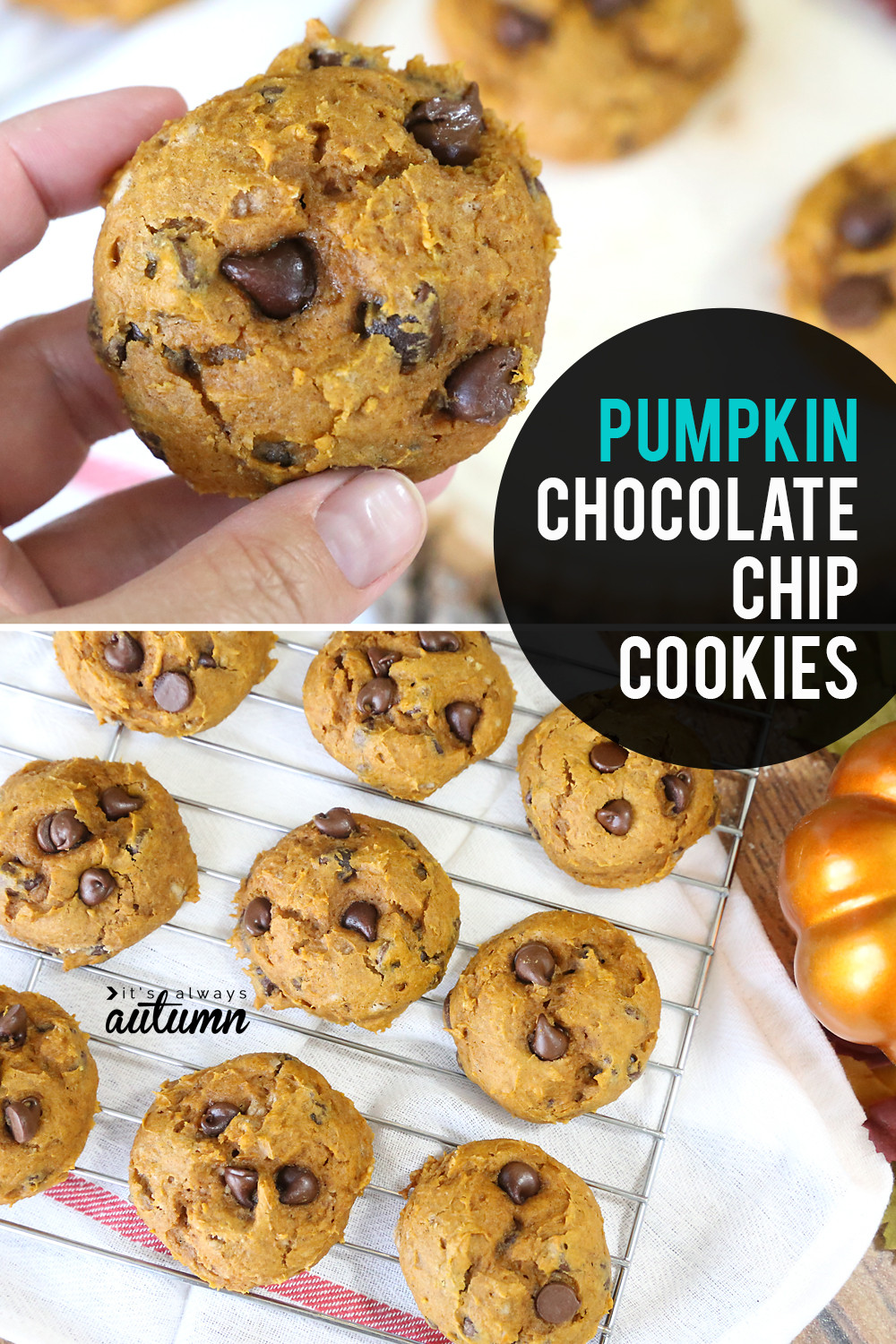 Easy Pumpkin Chocolate Chip Cookies
 Easy 5 ingre nt pumpkin chocolate chip cookies It s