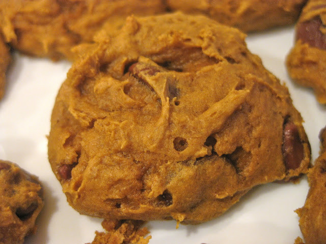 Easy Pumpkin Chocolate Chip Cookies
 My Favorite Recipes Easy Pumpkin Chocolate Chip Cookies