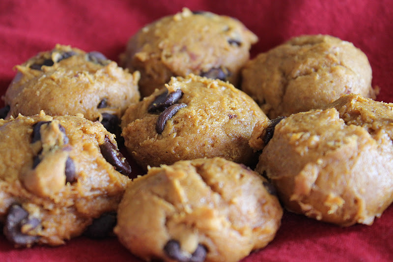 Easy Pumpkin Chocolate Chip Cookies
 my joy in the journey Easy Pumpkin Chocolate Chip Cookies