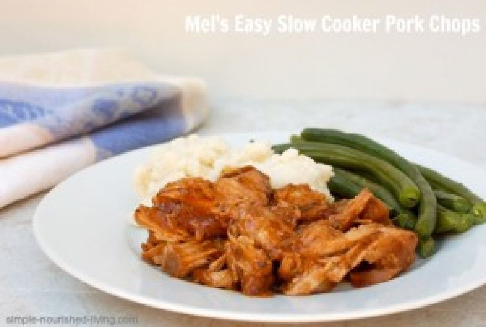 Easy Slow Cooker Pork Chops
 Mel s Easy Slow Cooker Pork Chops Recipe