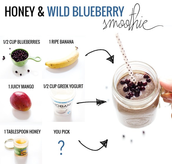 Easy Smoothie Recipes
 Honey and Wild Blueberry Smoothie Recipe Pinch of Yum