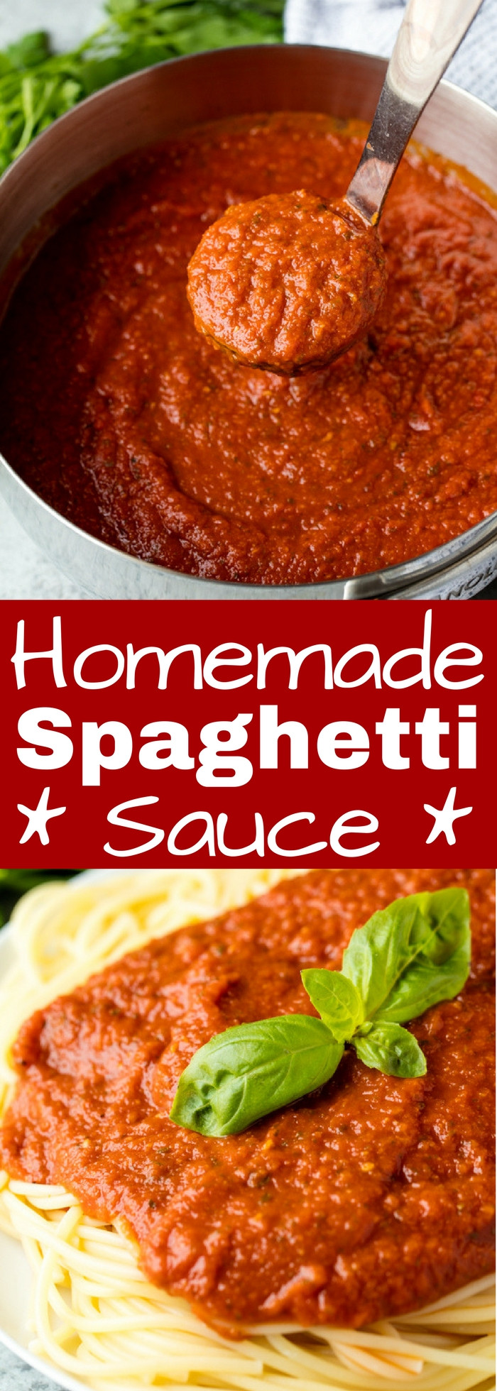 Easy Spaghetti Sauce Recipe
 what spices go in spaghetti sauce