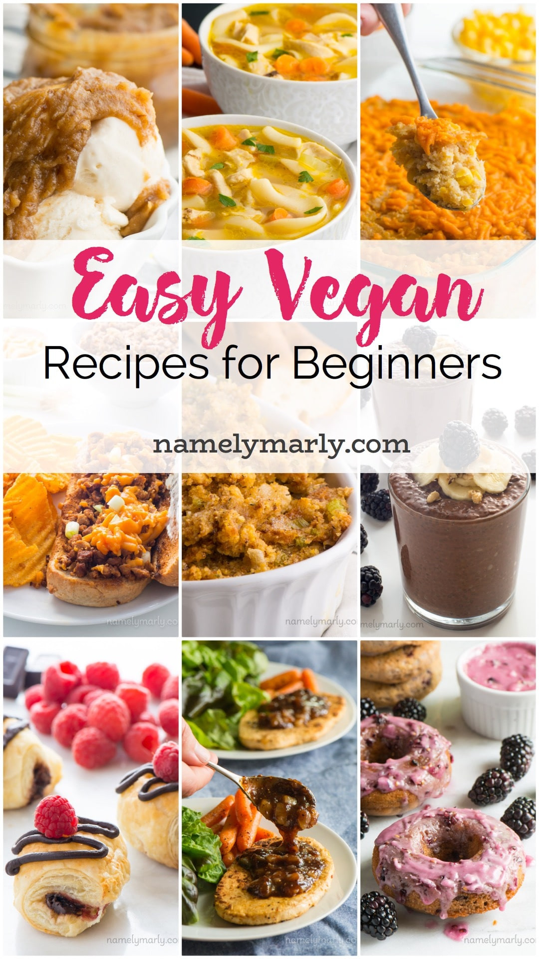 Easy Vegan Recipes
 Simple Vegan Recipes for Beginners Namely Marly