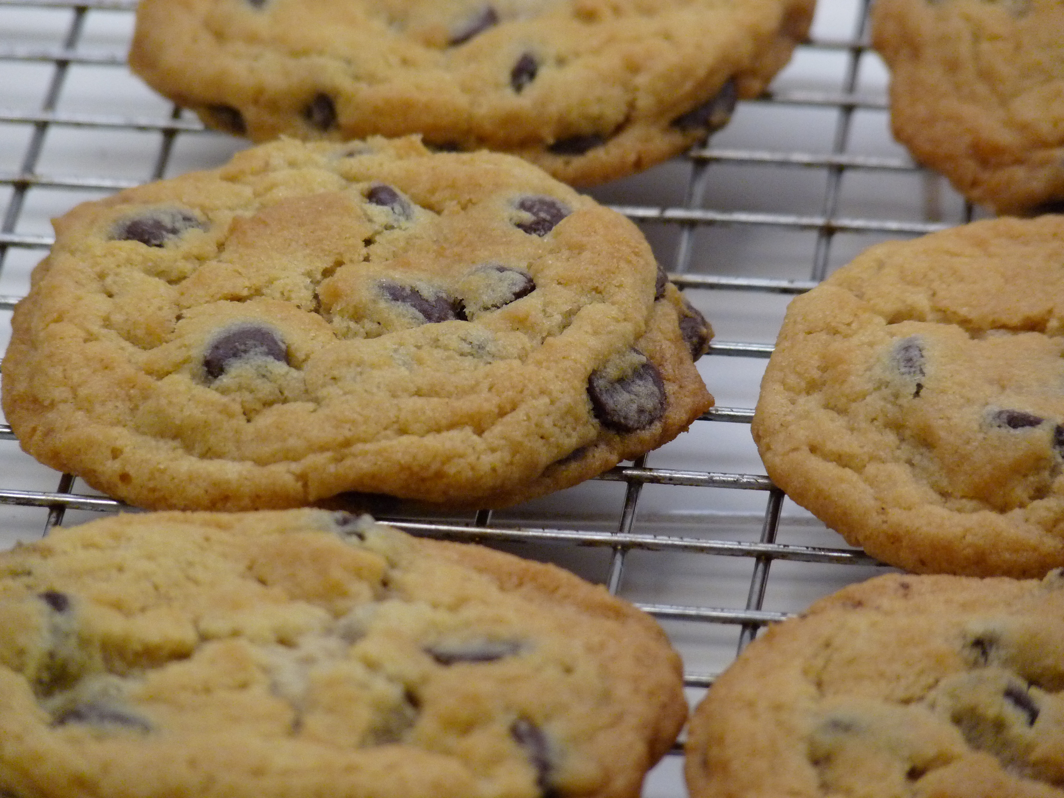 Eggless Chocolate Chip Cookies
 eggless chocolate chip cookies