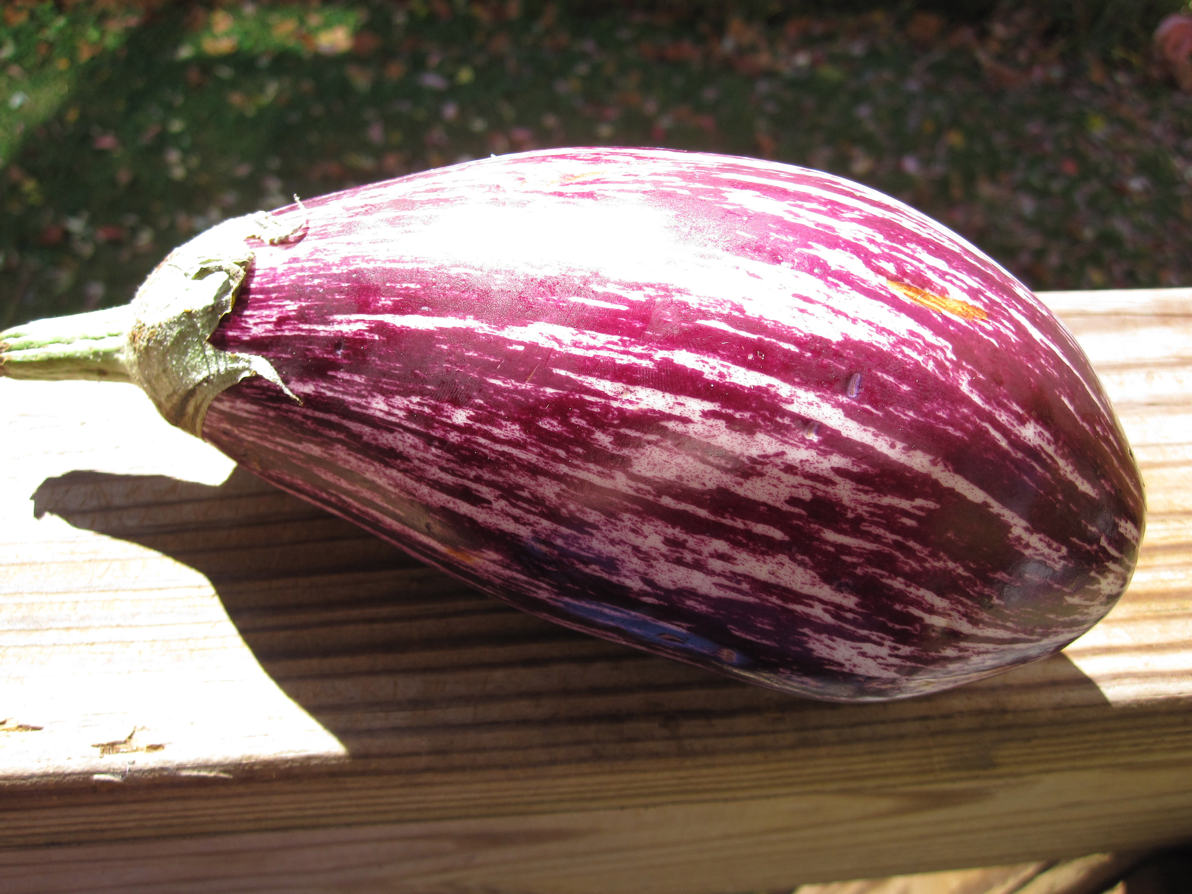 Eggplant In Italian
 Roasted Eggplant for Sandwiches and Salads