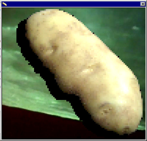 Electric Love Potato
 Let this creepy potato be your desktop assistant fworld