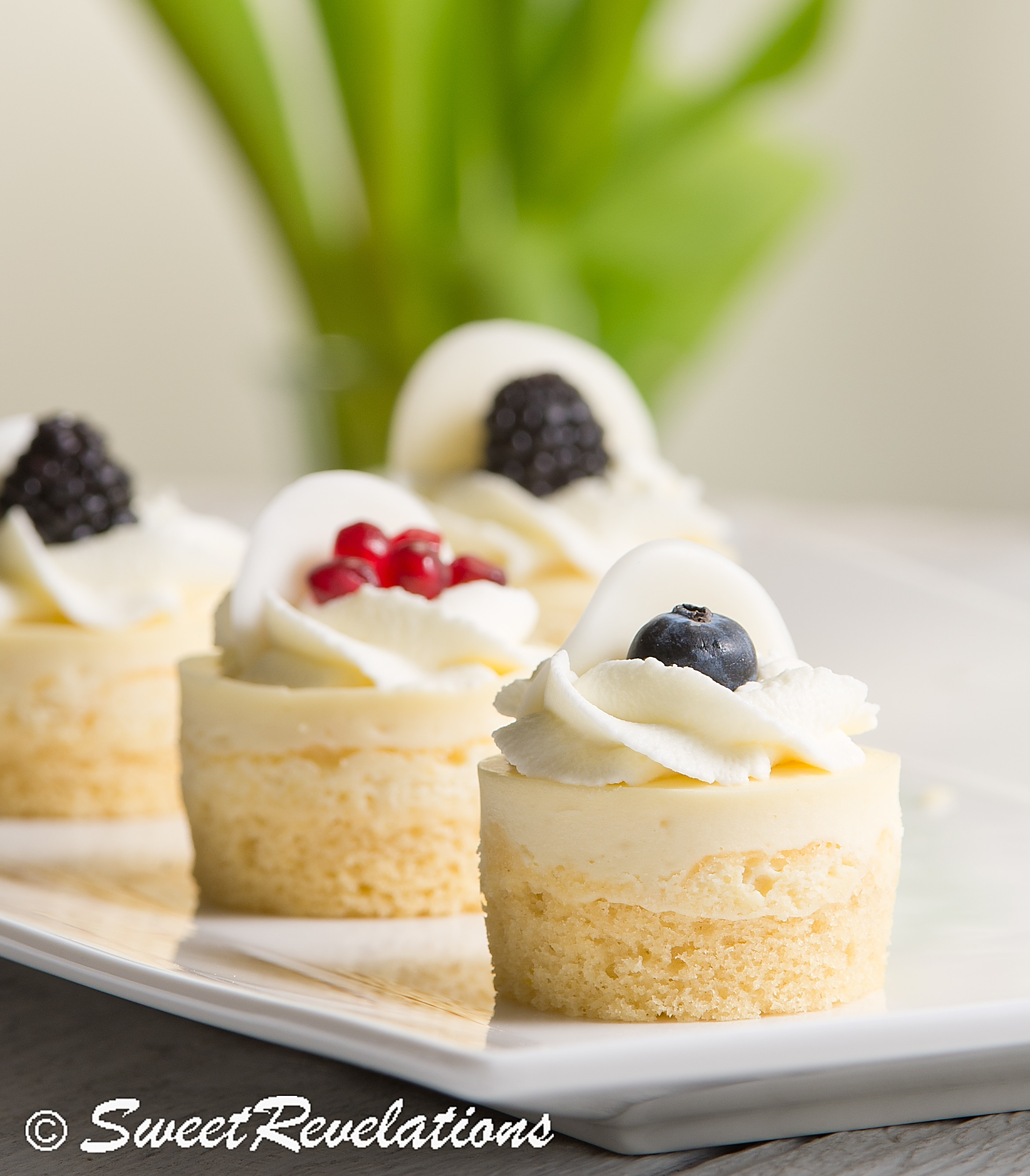 Elegant Dessert Recipes
 Mini Lemon Sponge Cheesecakes