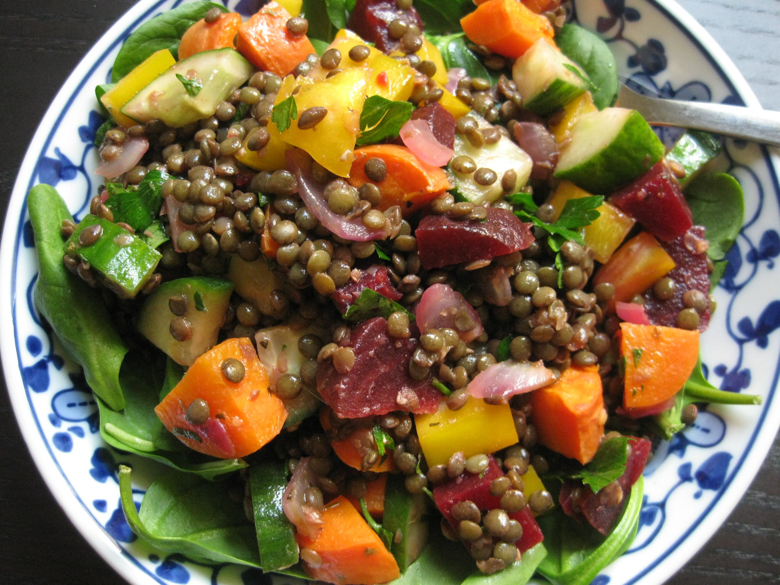 French Vegetarian Recipes
 french lentil salad