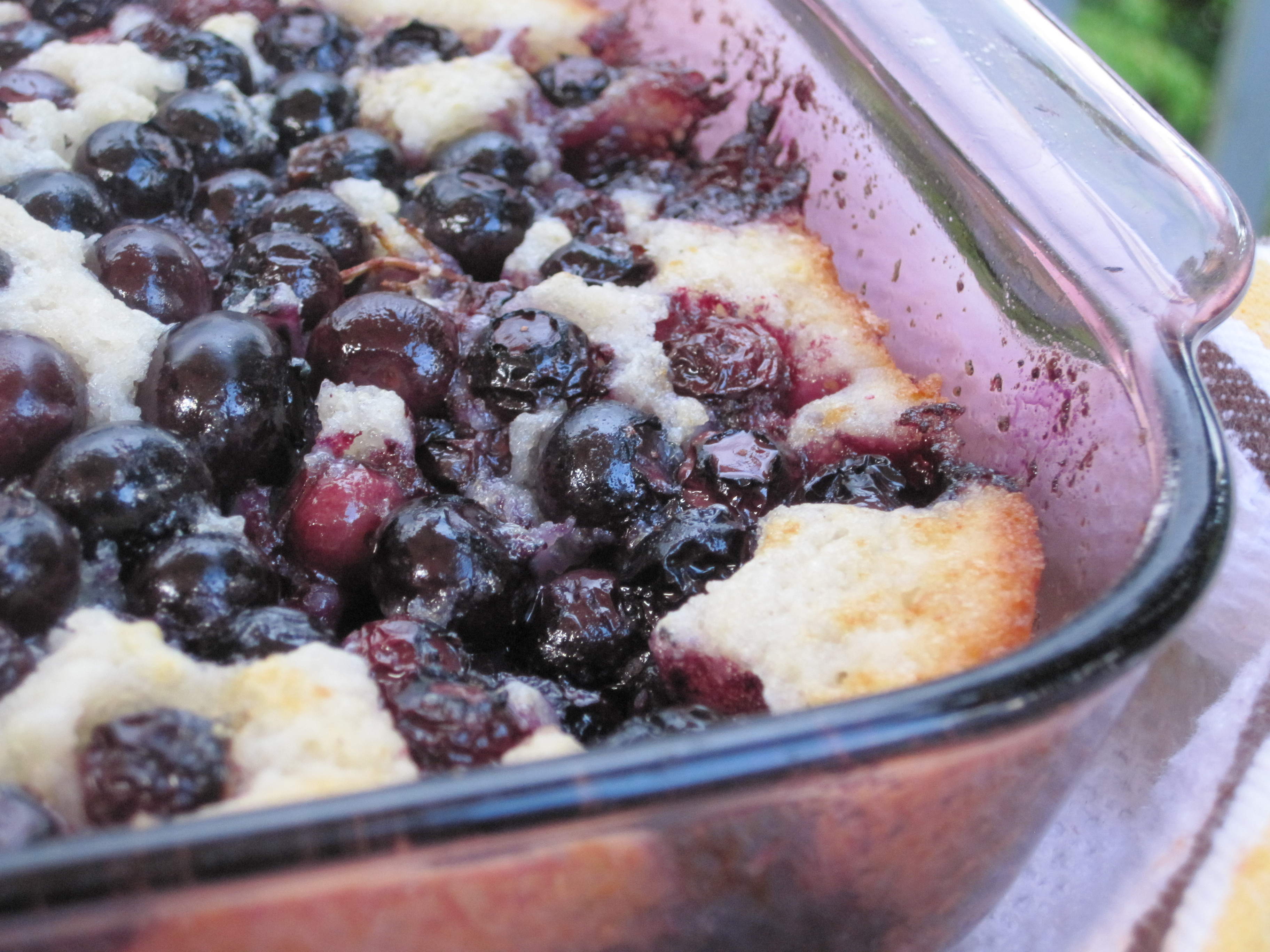 Fresh Blueberry Desserts
 Max’s Fresh Blueberry Cobbler