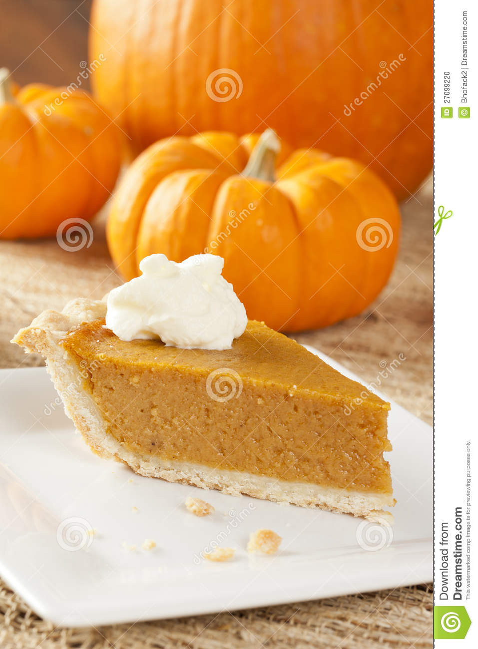 Fresh Pumpkin Pie
 Fresh Homemade Pumpkin Pie stock photo Image of baked