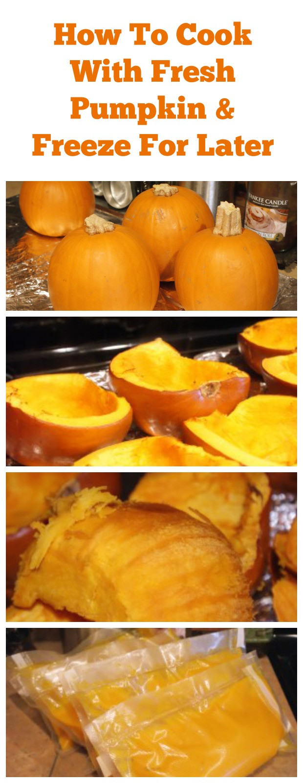 Fresh Pumpkin Pie
 How to Freeze & How to Can Fresh Pumpkin