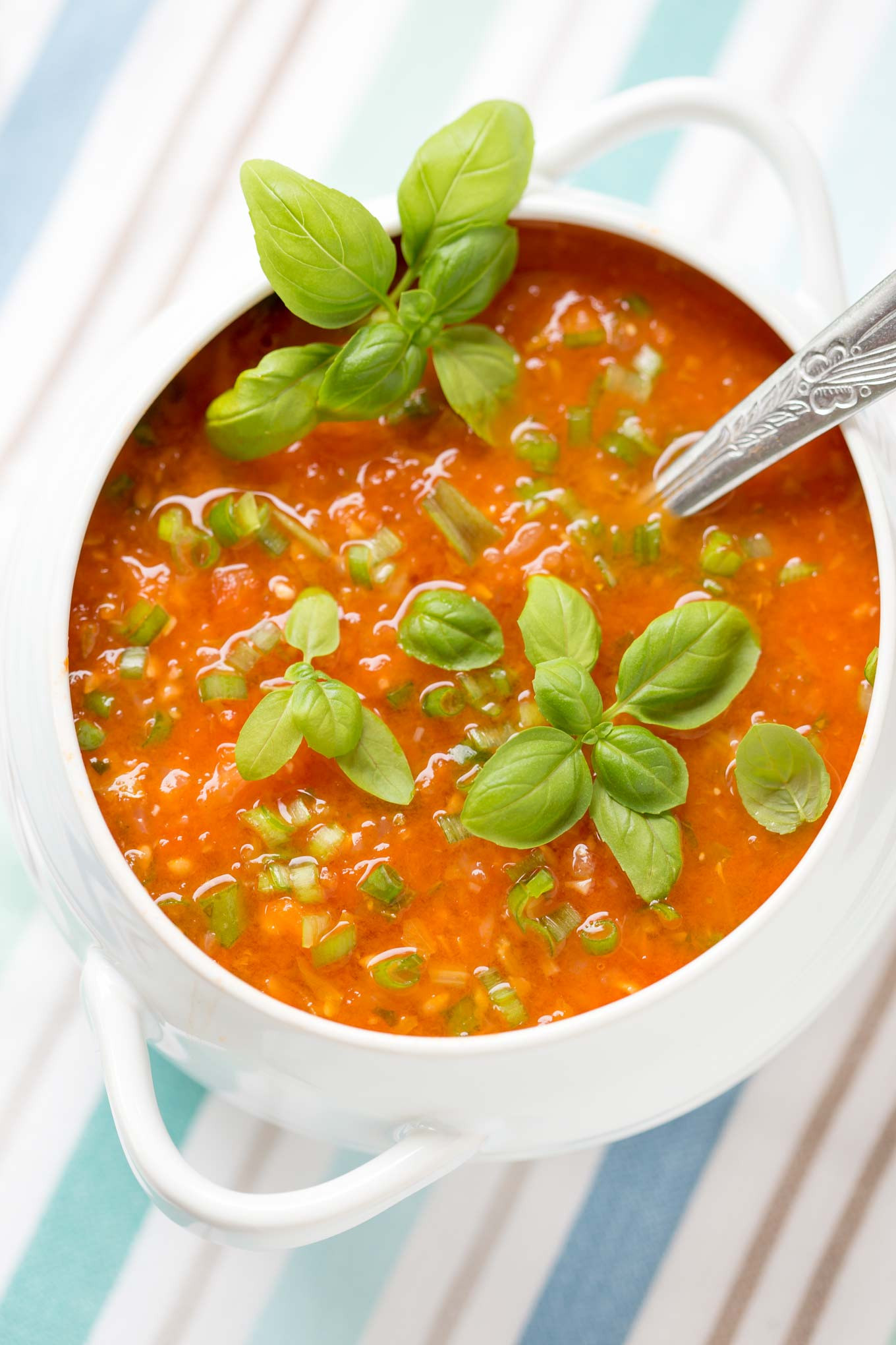 Fresh Tomato Soup Recipe
 30 min FRESH TOMATO SOUP RECIPE