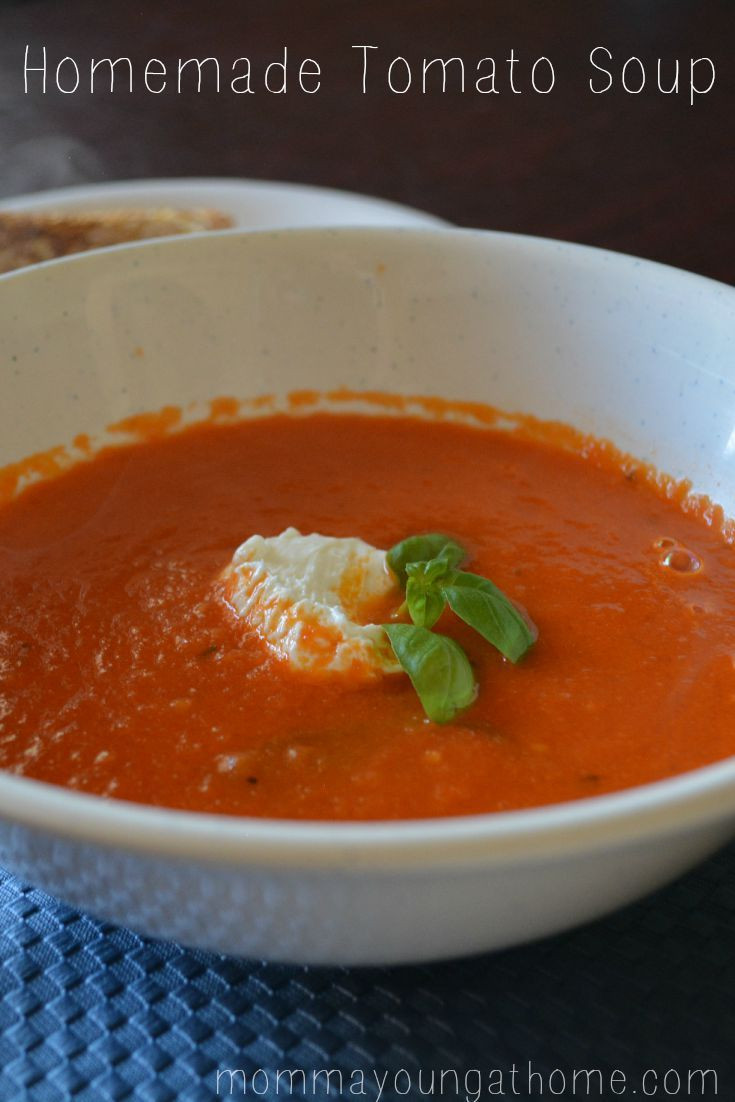 Fresh Tomato Soup Recipe
 Best 20 Fresh Tomato Soup ideas on Pinterest
