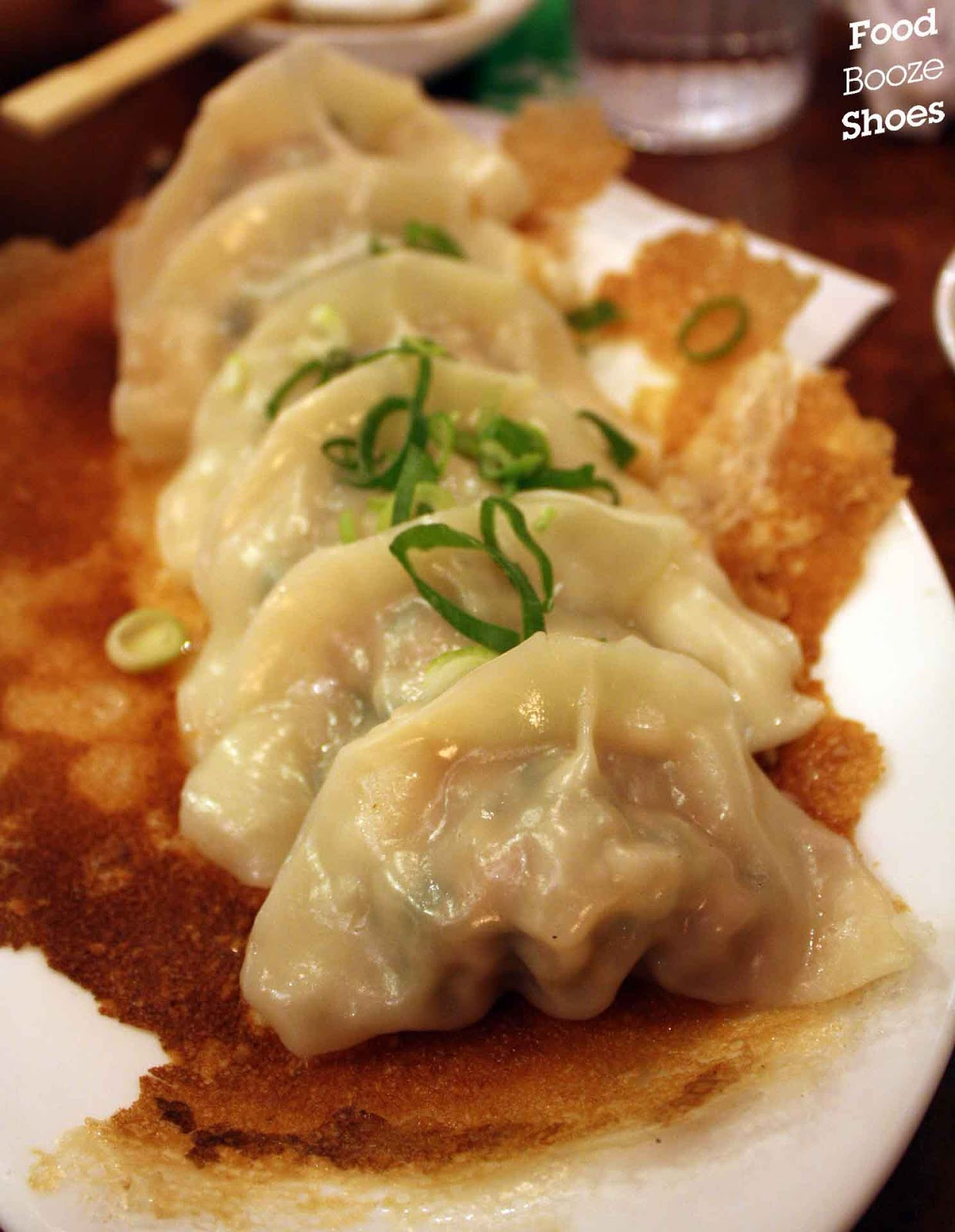 Fried Pork Dumplings
 Food booze and shoes Willoughby Dumpling House