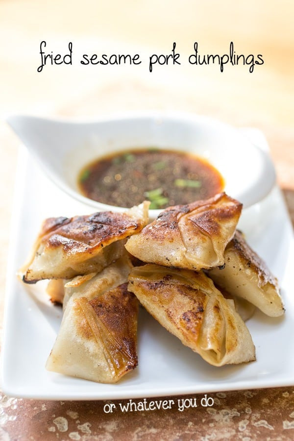 Fried Pork Dumplings
 Fried Pork Dumplings