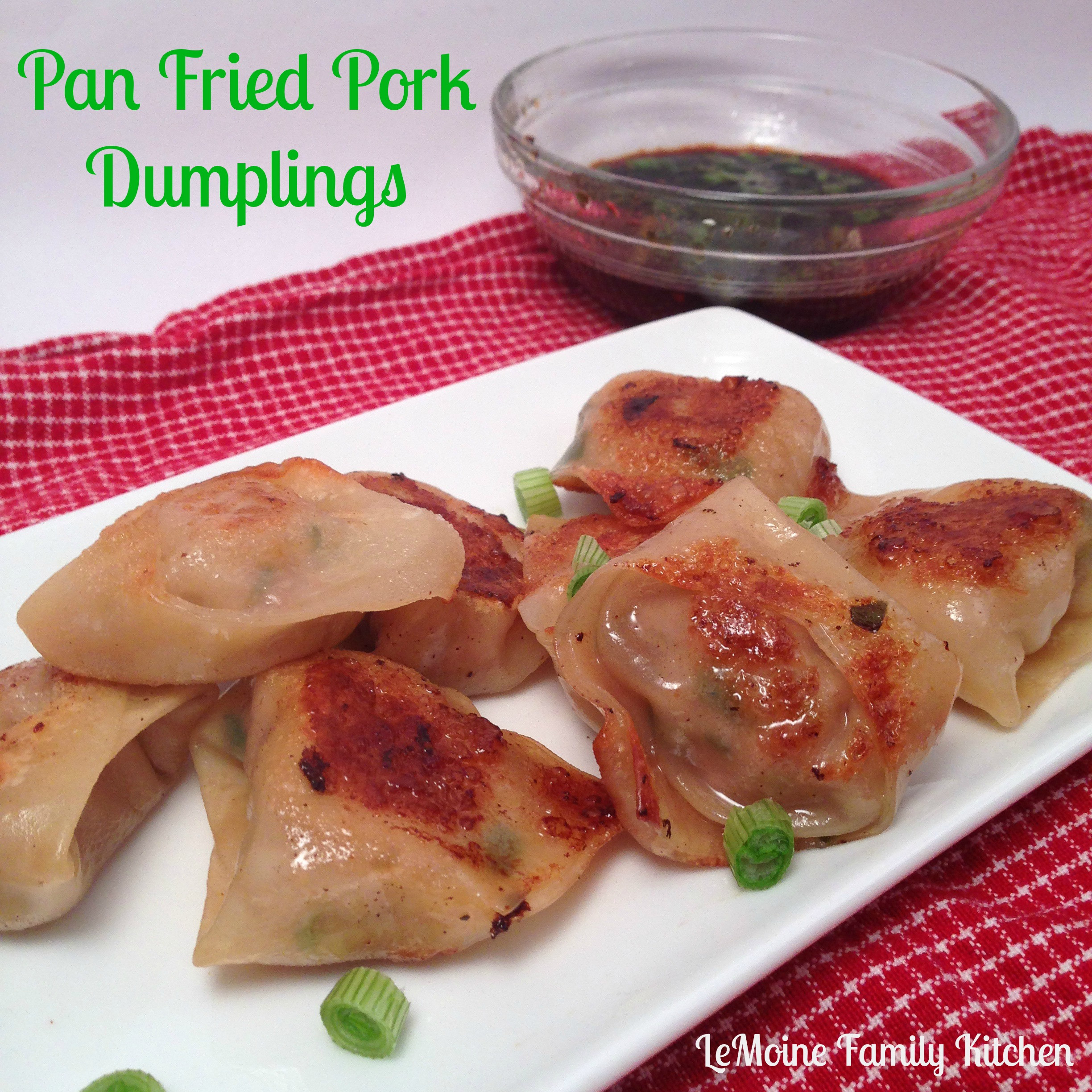 Fried Pork Dumplings
 Pan Fried Pork Dumplings LeMoine Family Kitchen