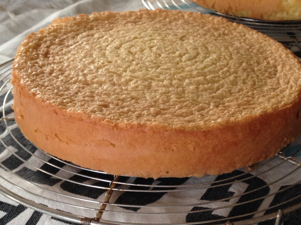 Genoise Sponge Cake
 Genoise Sponge Cake Another recipe