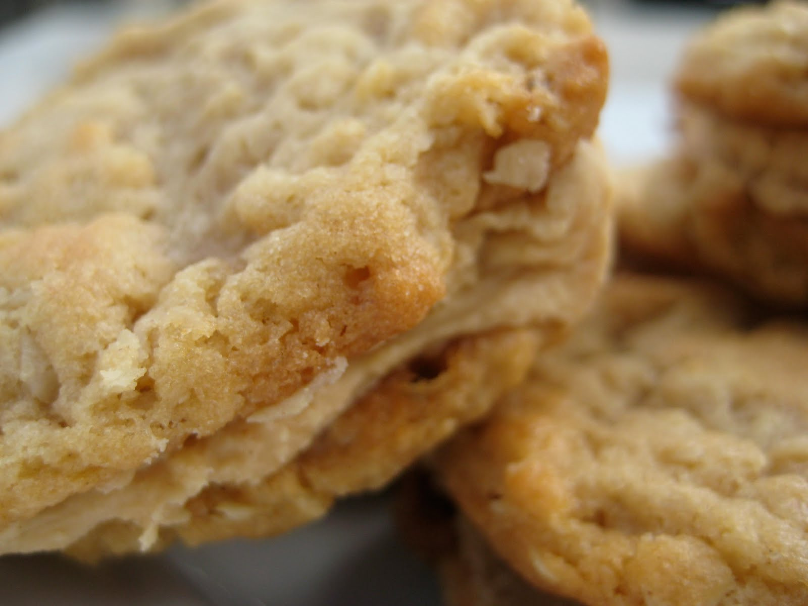 Girl Scouts Cookies Peanut Butter
 Girl Scout Peanut Butter Oatmeal Sandwich Cookies