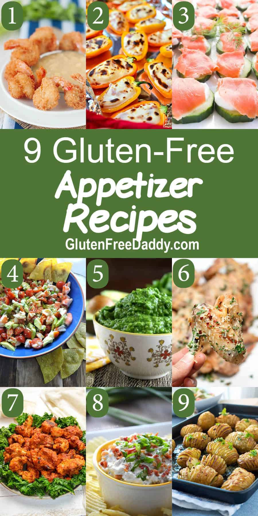 Gluten Free Appetizer Recipes
 9 of the Best Ever Gluten Free Appetizers Recipes