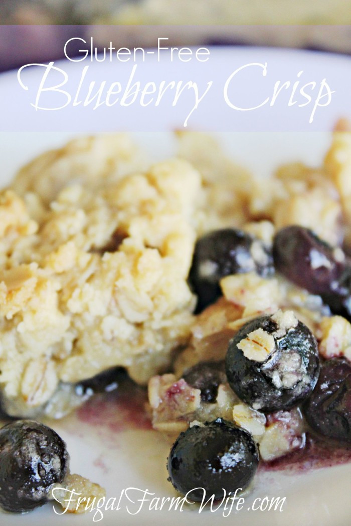 Gluten Free Blueberry Dessert
 Gluten Free Blueberry Crisp Recipe
