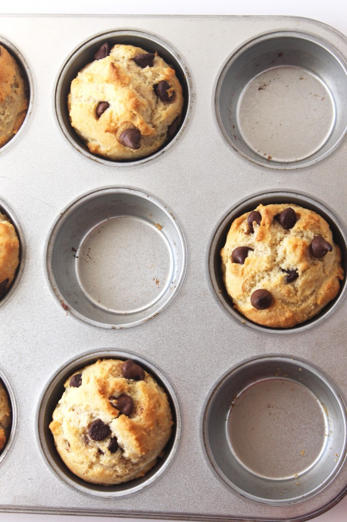 Gluten Free Chocolate Chip Muffins
 Gluten Free Chocolate Chip Muffins