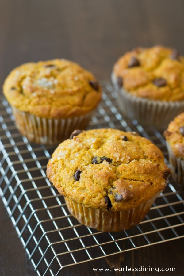 Gluten Free Chocolate Chip Muffins
 Over 100 of the Best Pumpkin Recipes Ever