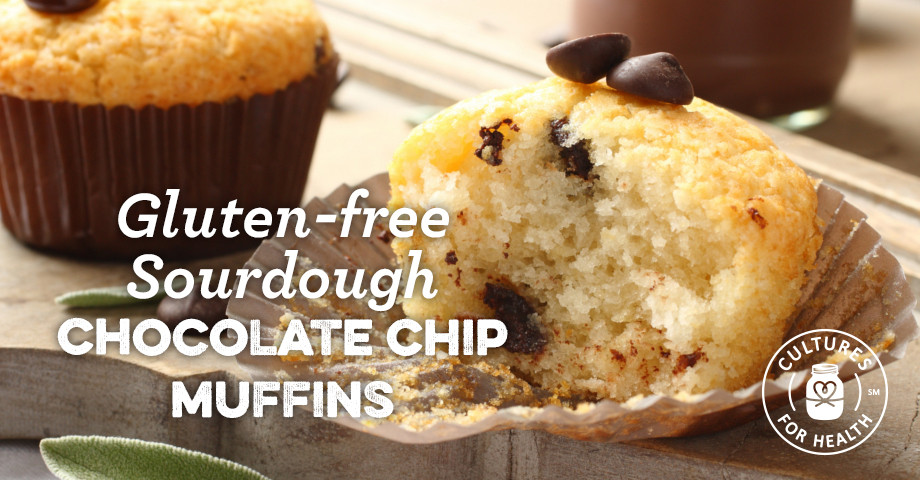 Gluten Free Chocolate Chip Muffins
 Gluten free Sourdough Chocolate Chip Muffins Recipe