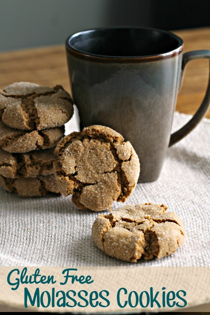 Gluten Free Molasses Cookies
 Gluten Free Molasses Cookies Recipe