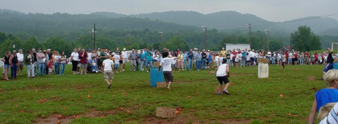 Grainger County Tomato Festival
 Grainger Tomato Festival Information