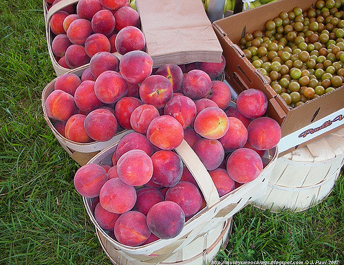 Grainger County Tomato Festival
 Grainger County Tomato Festival