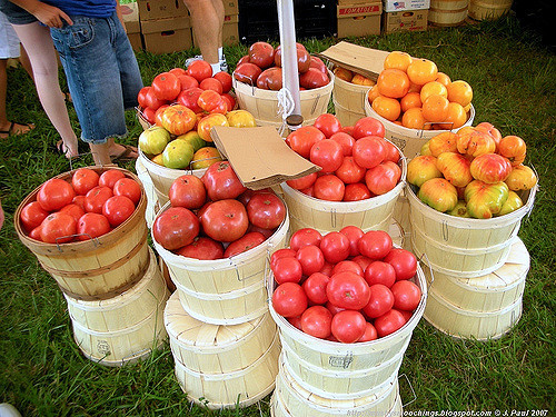 Grainger County Tomato Festival
 Grainger County Tomato Festival