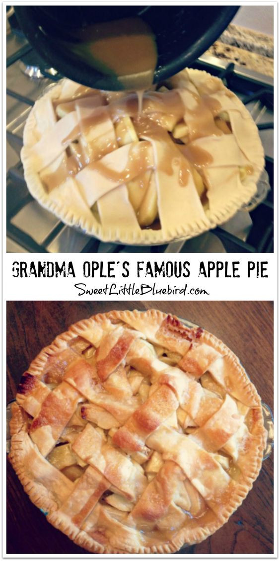 Grandma Ople Apple Pie
 Grandma Ople s Famous Apple Pie Sweet Little Bluebird