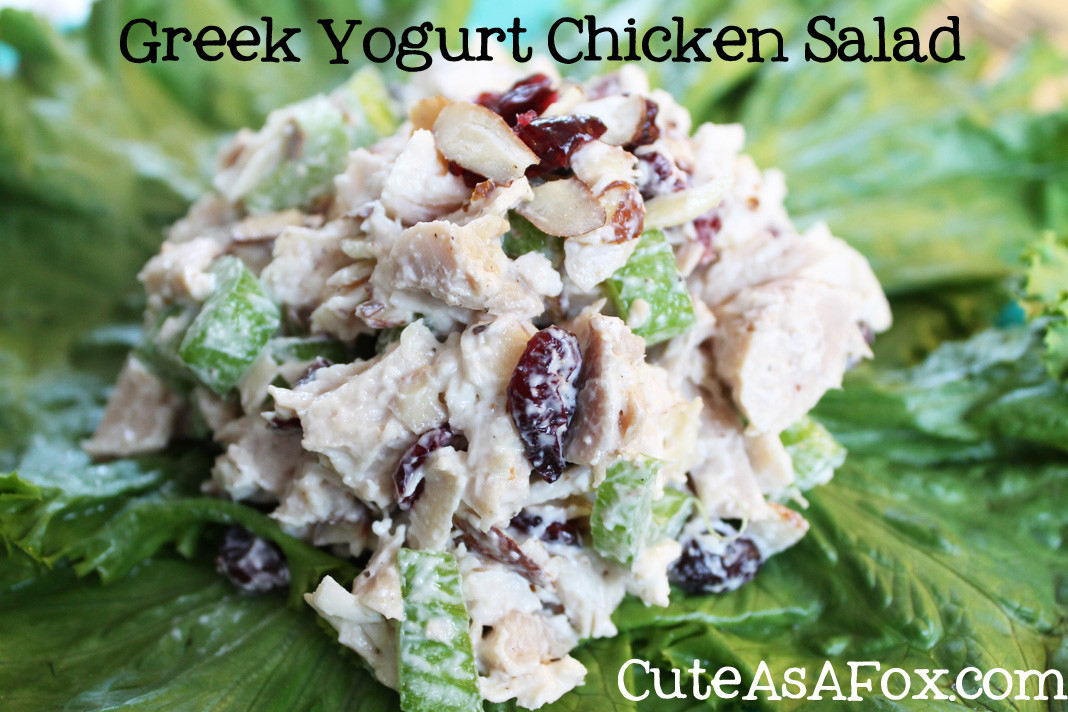 Greek Yogurt Chicken Salad
 Greek Yogurt Chicken Salad