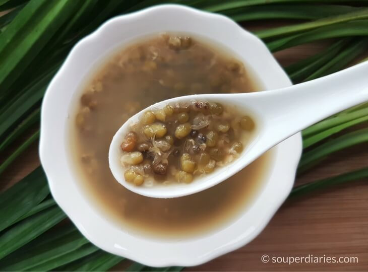 Green Bean Soup
 Green Bean Soup Recipe 綠豆汤 Souper Diaries