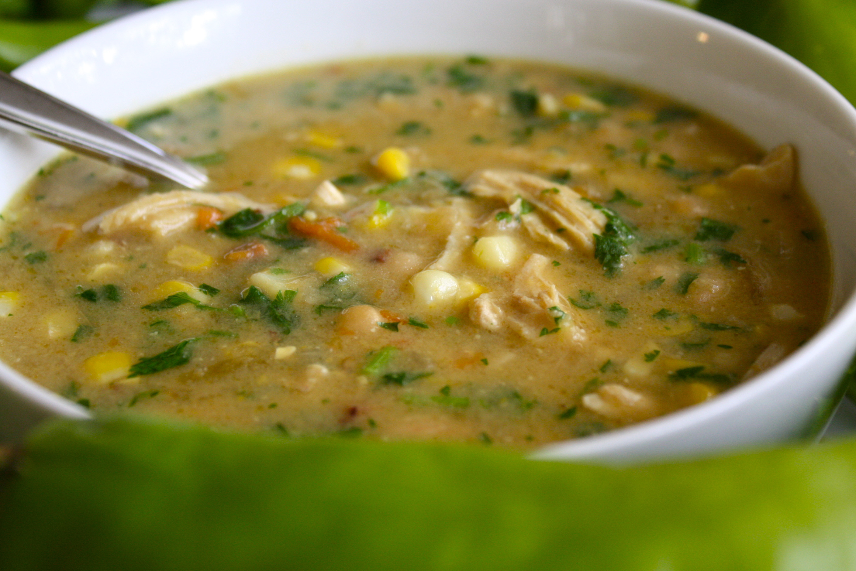 Green Chile Stew Recipe
 Soup Chili Stew