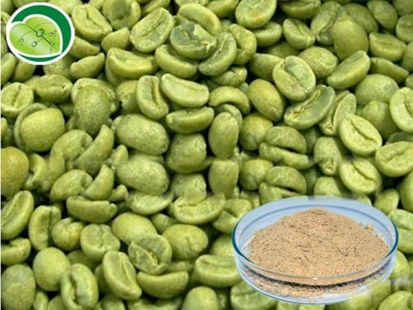 Green Coffee Bean Powder
 Green Coffee Bean Powder Pure & Natural – M S Dennys