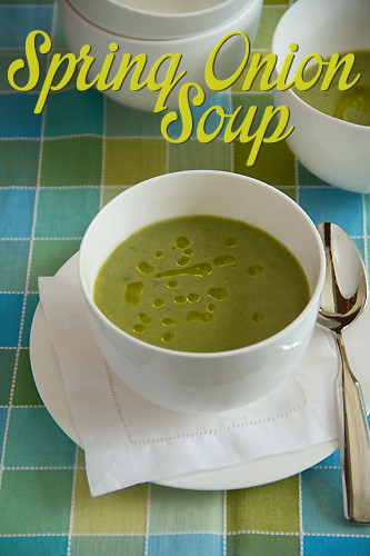 Green Onion Soup
 green onion soup