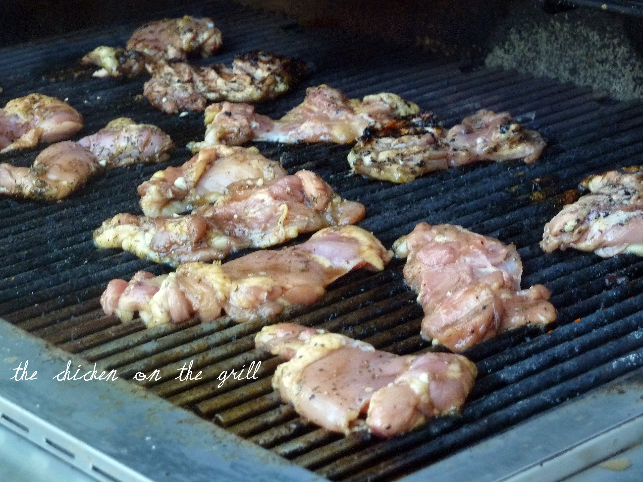 Grilling Boneless Chicken Thighs
 Honey Glazed Chicken Thighs