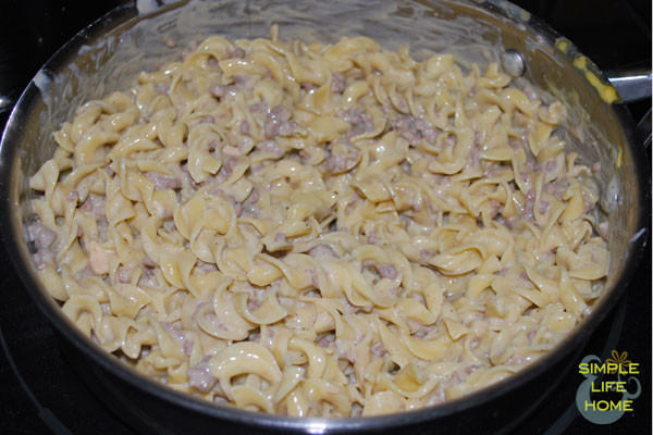 Ground Beef Cream Of Mushroom
 ground beef cream of mushroom soup macaroni and cheese