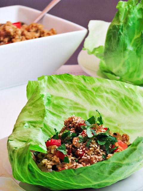 Ground Turkey Lettuce Wraps
 30 best images about Nibbles Turkey on Pinterest