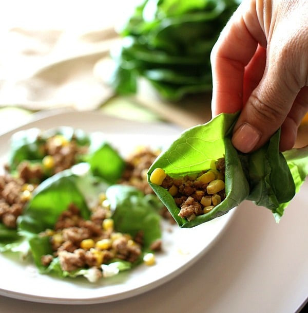 Ground Turkey Lettuce Wraps
 Ground Turkey Lettuce Wraps