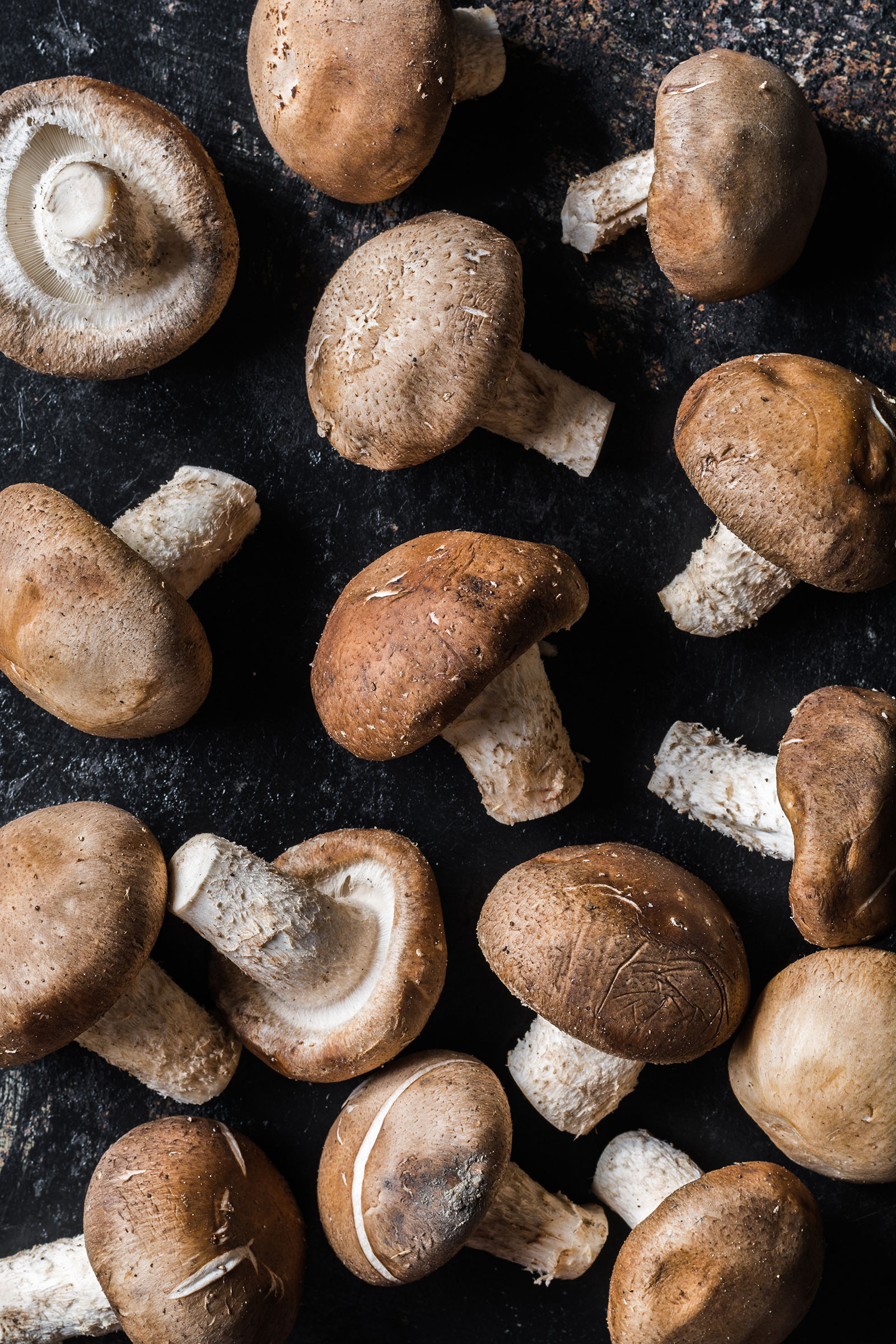 Growing Shiitake Mushrooms
 The Foolproof Guide for Growing Mushrooms at Home