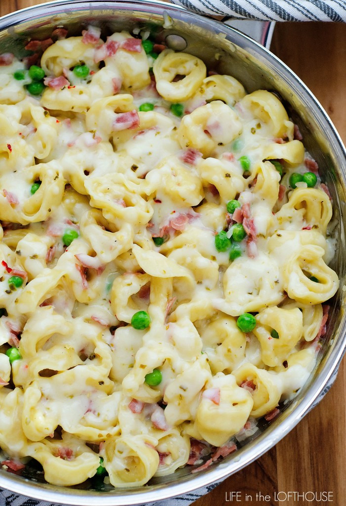 Ham And Pasta Recipes
 Ham and Cheese Tortellini Life In The Lofthouse