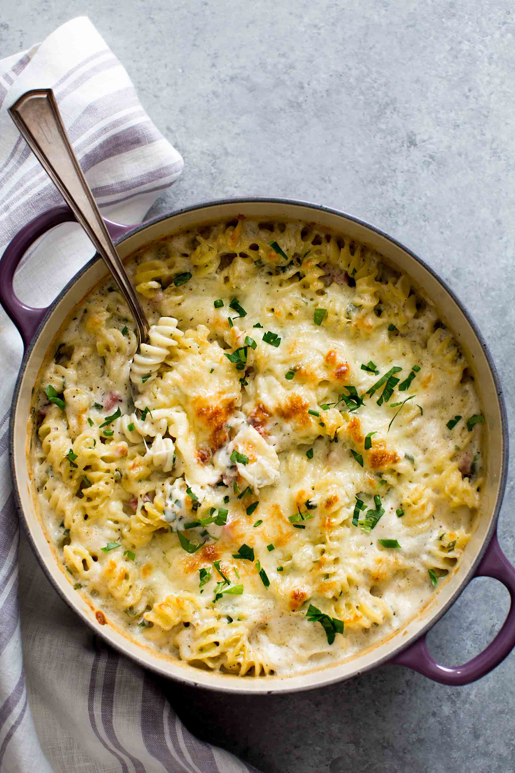 Ham And Pasta Recipes
 Ham and Cheese Pasta Bake Recipe